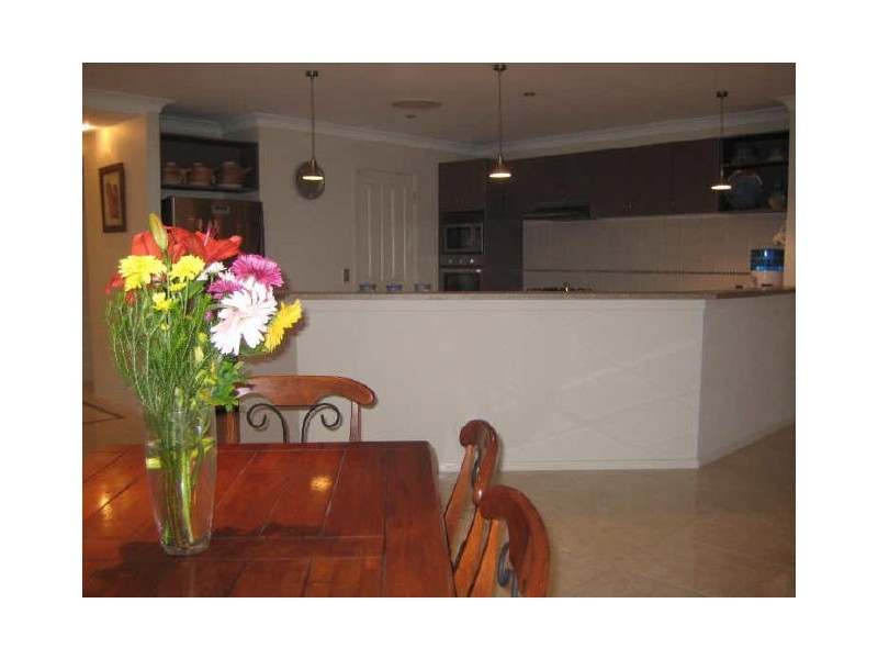 9 Stanley Close, Bolwarra Heights NSW 2320