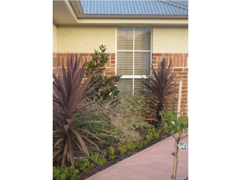 9 Stanley Close, Bolwarra Heights NSW 2320