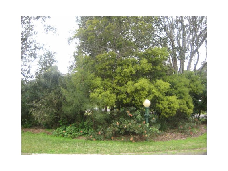 3 Rosebank Drive, Wallalong NSW 2320