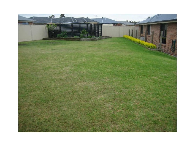 17 Fernleigh Avenue, Aberglasslyn NSW 2320