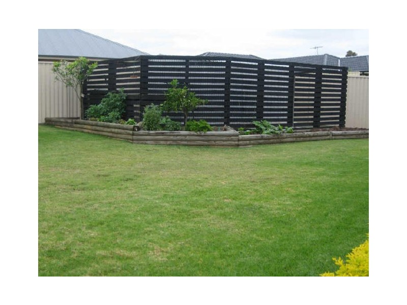 17 Fernleigh Avenue, Aberglasslyn NSW 2320