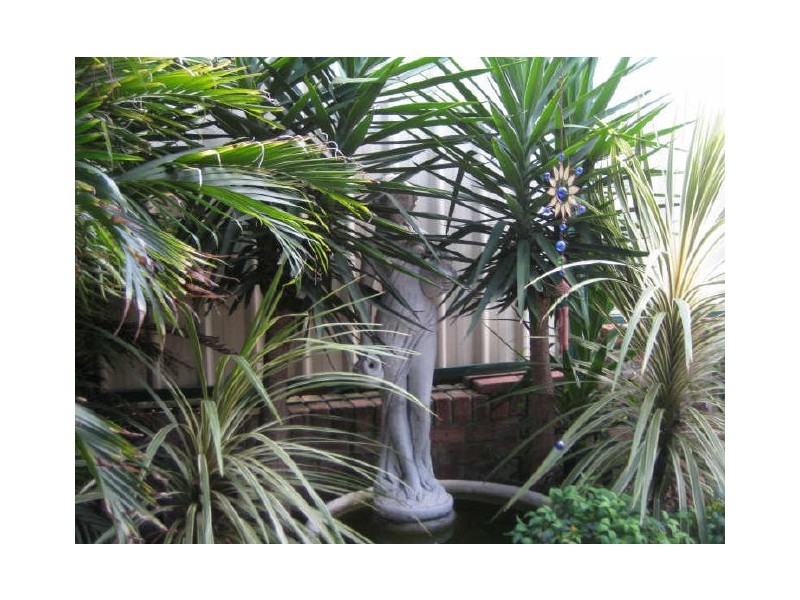 164 Weblands Street, Aberglasslyn NSW 2320