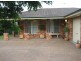 103 Weblands Street, Aberglasslyn NSW 2320