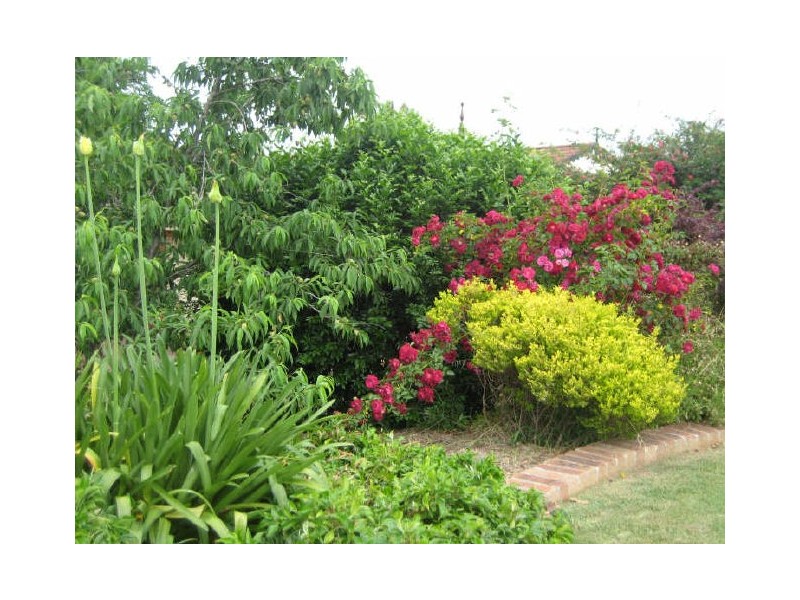 103 Weblands Street, Aberglasslyn NSW 2320