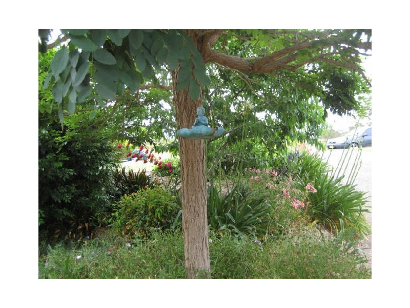 103 Weblands Street, Aberglasslyn NSW 2320