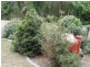 45 Brigantine St, Rutherford NSW 2320