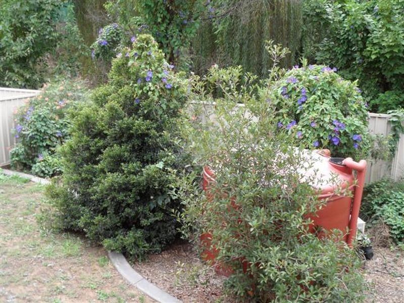 45 Brigantine St, Rutherford NSW 2320