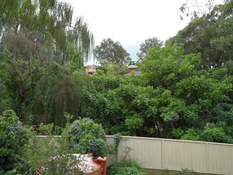 45 Brigantine St, Rutherford NSW 2320