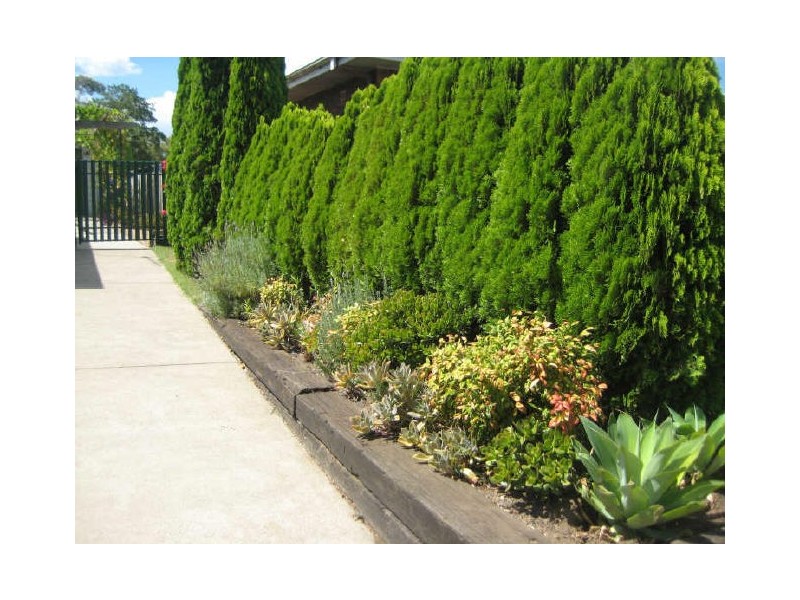 7 Frater Avenue, Tenambit NSW 2323
