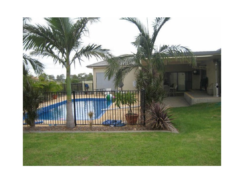7 Cedar Wattle Close, Aberglasslyn NSW 2320