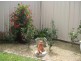6a Radford Street, Heddon Greta NSW 2321