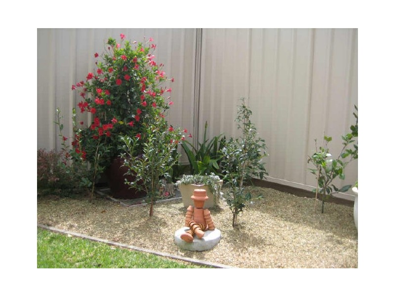6a Radford Street, Heddon Greta NSW 2321