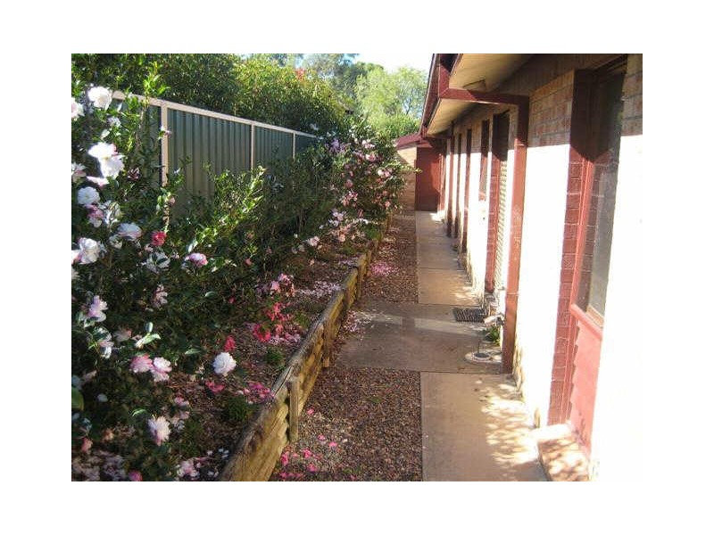 2 Cadet Close, Bolwarra Heights NSW 2320