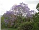 48 Durham Road, East Gresford NSW 2311