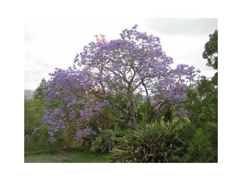 48 Durham Road, East Gresford NSW 2311
