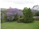 48 Durham Road, East Gresford NSW 2311