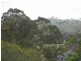 48 Durham Road, East Gresford NSW 2311