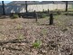 3 Ashton Street, Metford NSW 2323