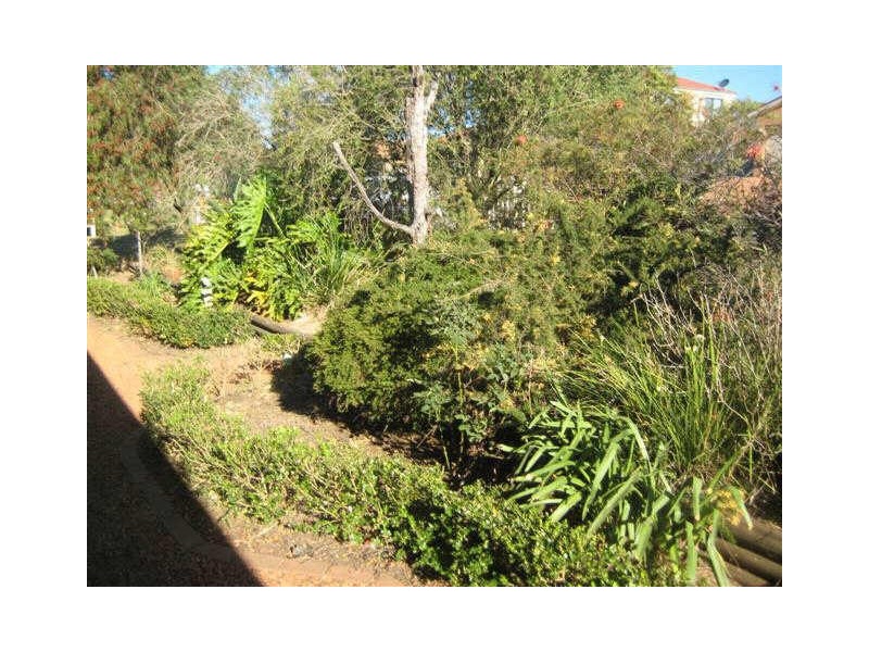 51 Galway Bay Drive, Ashtonfield NSW 2323