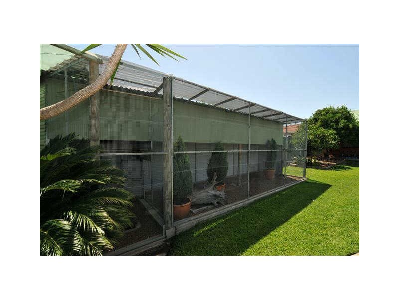 38 Church Street, East Branxton NSW 2335