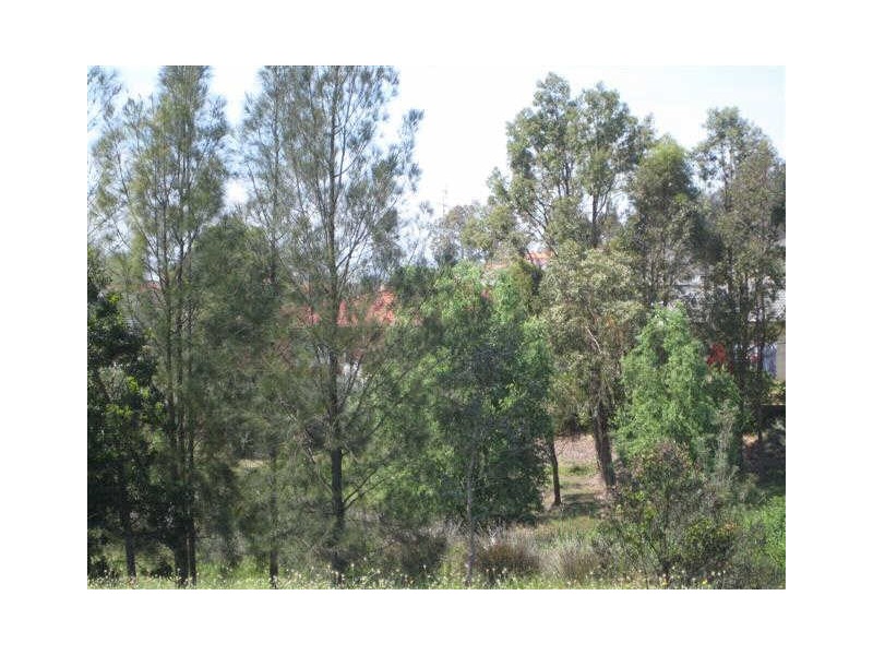 Aberglasslyn NSW 2320