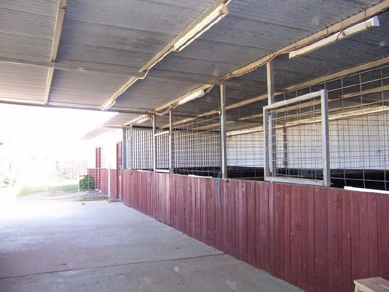 5 Lindsay Street, Belford NSW 2335