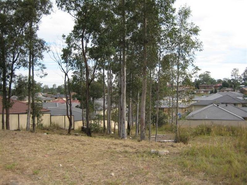 55 Squadron Crescent, Rutherford NSW 2320