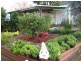 112 Brooks Street, Rutherford NSW 2320