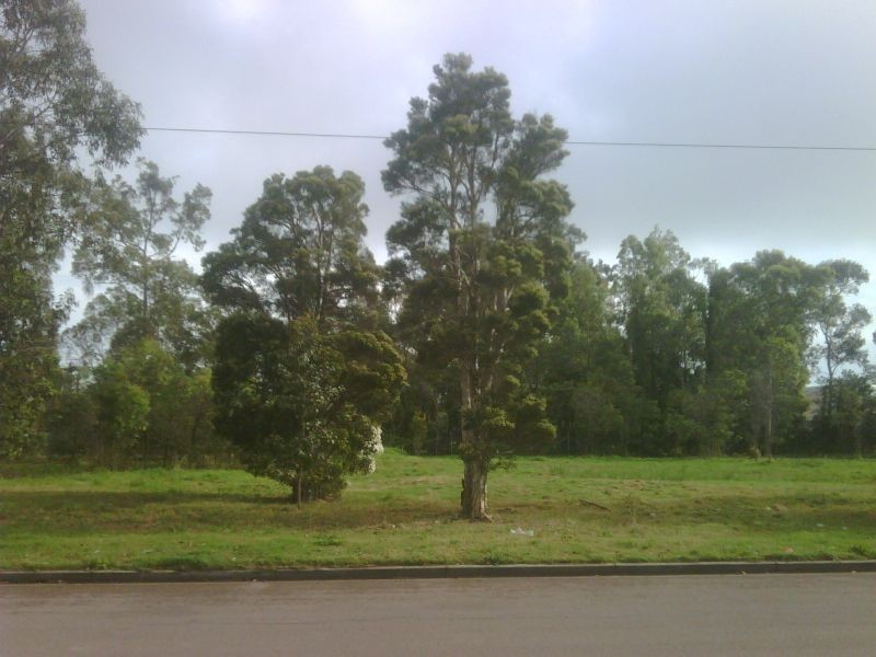 89 Kyle Street, Rutherford NSW 2320