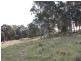 Martins Creek NSW 2420