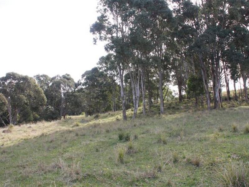 Martins Creek NSW 2420