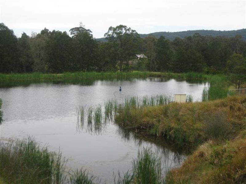 Martins Creek NSW 2420