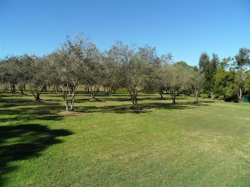 287 Maitland Vale Road, Maitland Vale NSW 2320