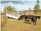 87 Kiah Road, Gillieston Heights NSW 2321