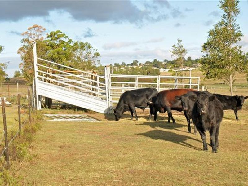 87 Kiah Road, Gillieston Heights NSW 2321