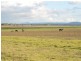 87 Kiah Road, Gillieston Heights NSW 2321