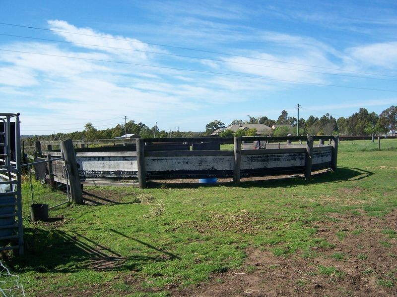 594 Duckenfield Road, Duckenfield NSW 2321