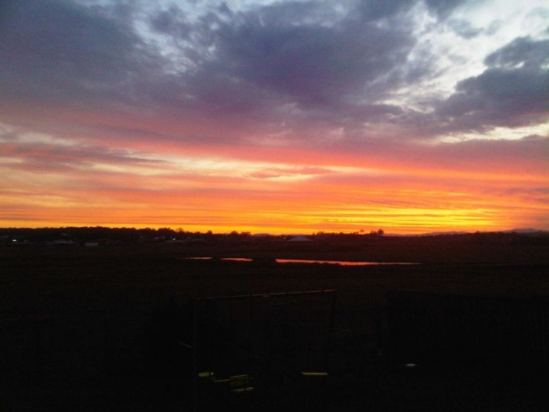 56 Wilton Drive, East Maitland NSW 2323