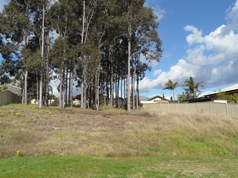 52 Richard Road, Rutherford NSW 2320