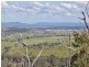 708 Maitland Vale Road, Maitland Vale NSW 2320