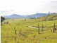 708 Maitland Vale Road, Maitland Vale NSW 2320