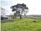 708 Maitland Vale Road, Maitland Vale NSW 2320