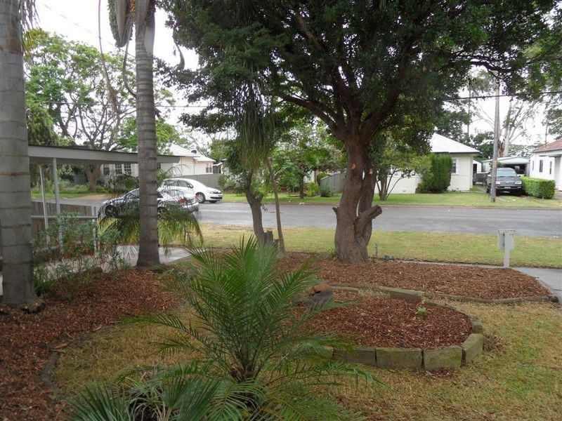 6 Nichols Street, Lorn NSW 2320