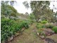 189 Lennoxton Road, Vacy NSW 2421