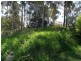 156 Regiment Road, Rutherford NSW 2320