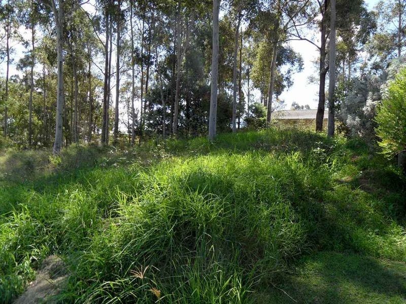 158 Regiment Road, Rutherford NSW 2320