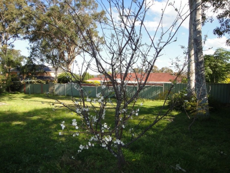 3a Doran Street, Thornton NSW 2322