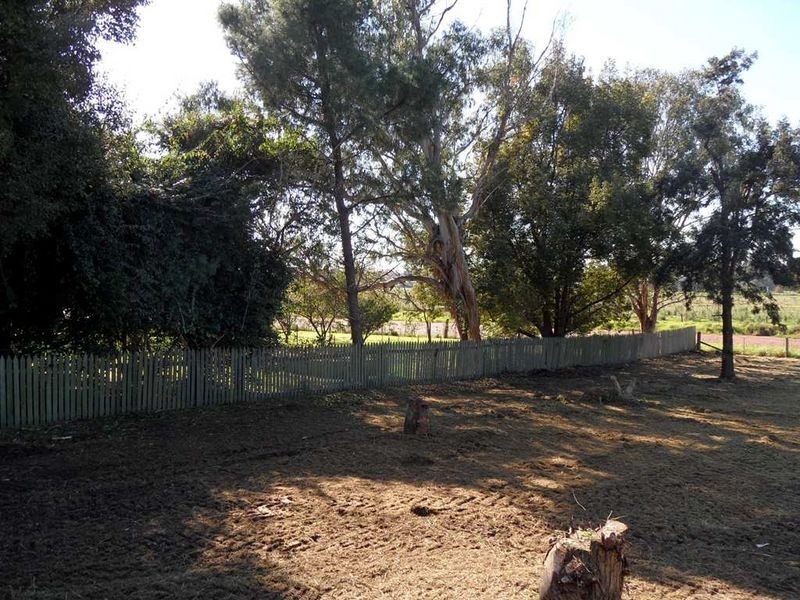 111-113 Regent Street, Maitland NSW 2320