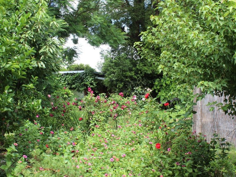 2 Cracknell Lane, Aberglasslyn NSW 2320