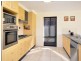 10 Poplar Level Terrace, Branxton NSW 2335